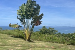 Viewfrombalcony1
